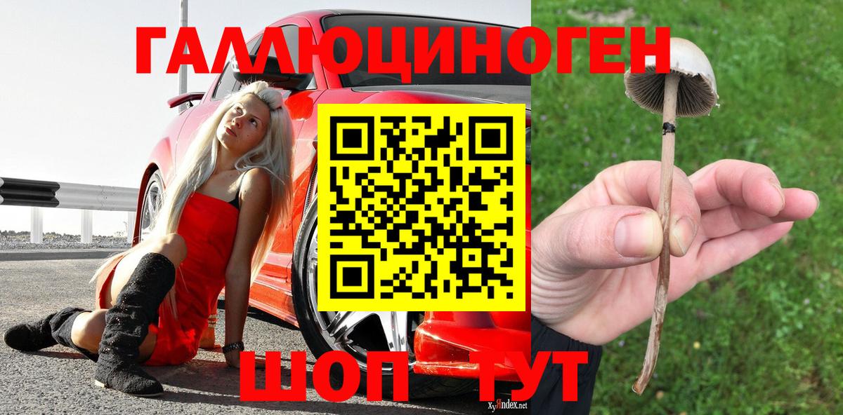 Галлюциногенные грибы GOLDEN TEACHER Сафоново