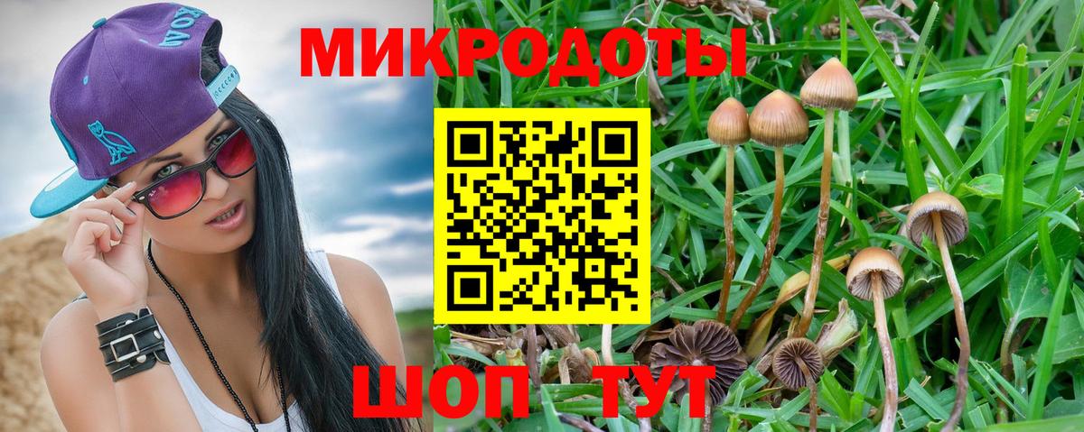 Сафоново  Псилоцибиновые грибы GOLDEN TEACHER  Вход с VPN  Галлюциногенные грибы Magic Shrooms 